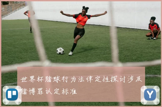 世界杯赌球行为法律定性探讨涉及赌博罪认定标准