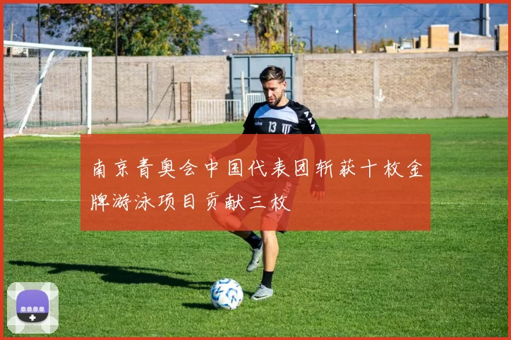 南京青奥会中国代表团斩获十枚金牌游泳项目贡献三枚