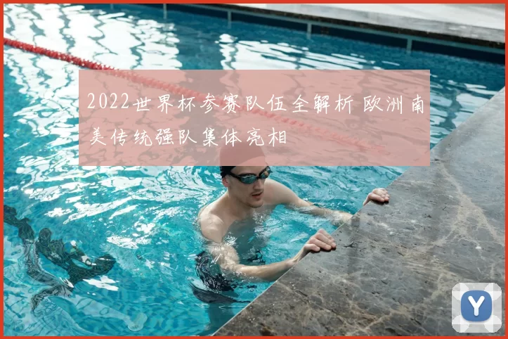 2022世界杯参赛队伍全解析 欧洲南美传统强队集体亮相