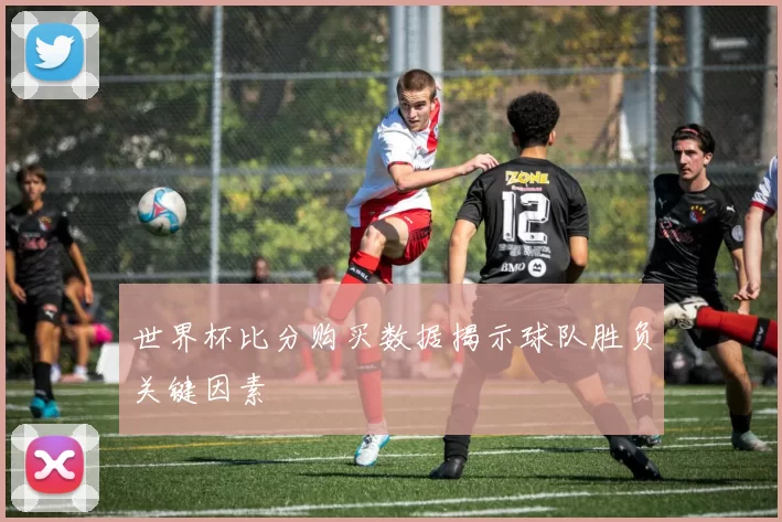 世界杯比分购买数据揭示球队胜负关键因素